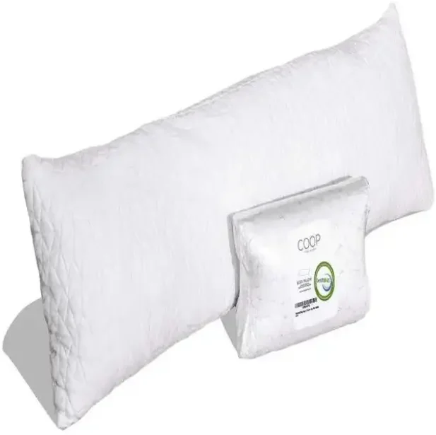 Coop Sleep Goods Memory Foam Body Pillow
